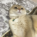 Мия