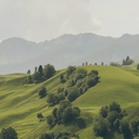Морж