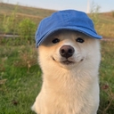 YZZ