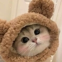 Котенок