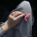 Даурский Журавль