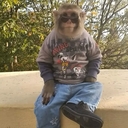 Goga