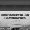 Сумчатый Муравьед