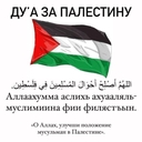 ايرينا
