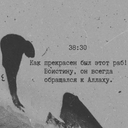 Степной Ястреб