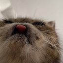 Ð