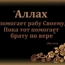 Чёрный Аист
