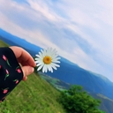 Пятнистый Олень