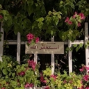 ع