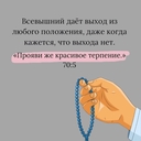 Малайский Шерстистошейный Аист