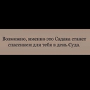 Рыжебрюхий лемур