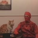 Кот Балу