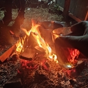 краснокнижный Мяу