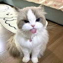 мяу