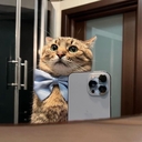 AAA
