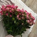 снежанка