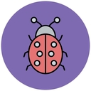 Жук 🐞VPN
