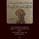 خم
