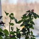 Мама❤️ Мустафо Мухаммад Али🧡