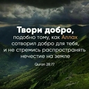 Зелёная Черепаха