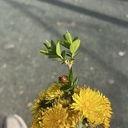A B