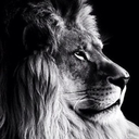 Mgg
