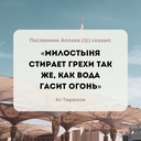 Бушменов заяц
