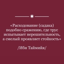Кенгуру Маклея