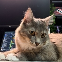 Kiba