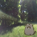 pusheen