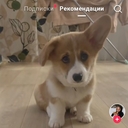 Мадина