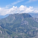Гавиал