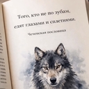 Шамиль ноган