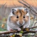 Сибирский Хомяк