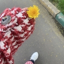 Лейла