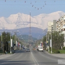 Речной бобр