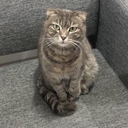 rubchinskky