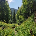 Бадр Хари