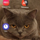 КИАРА