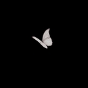 Diana