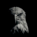 مُؤَقَّت