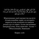 Африканский Лев