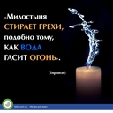 Африканский Лев