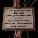 Розовый Пеликан
