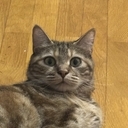 muhandis