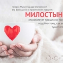 Короткокоготный кенгуру