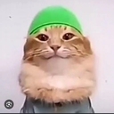 Tabtabitab Cat