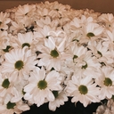 Нават🌼