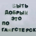 Индийский Дикобраз