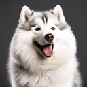 Лев
